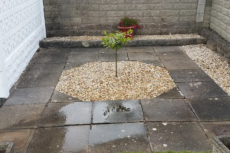 Patio slabs before cleaning — dark staining and moss growth